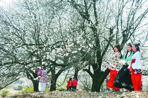 js333线路检测网络监控大屏示意